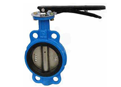 butterfly valve with double flange